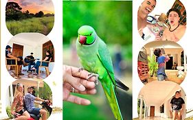 Grand Refuge Bird View Lake Jogging Foods Bikes Tuk Tuk & Free City Tour Guidence